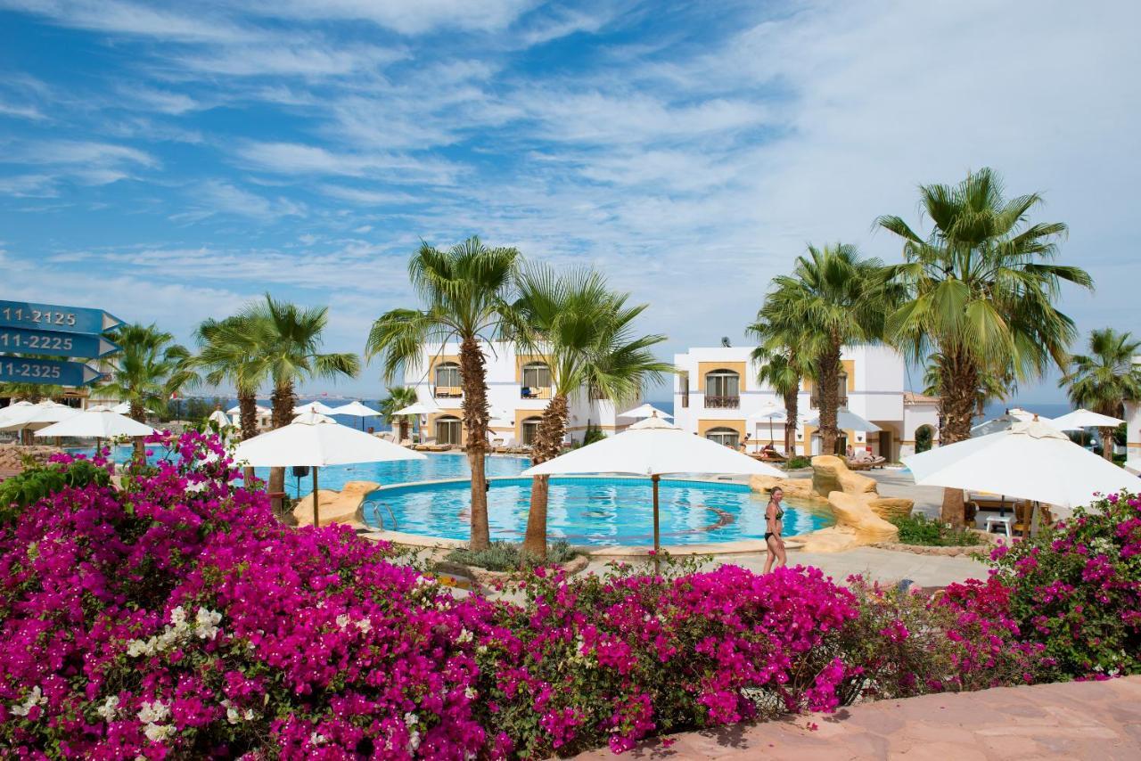 Amphoras Blu Sharm el-Sheikh Luaran gambar