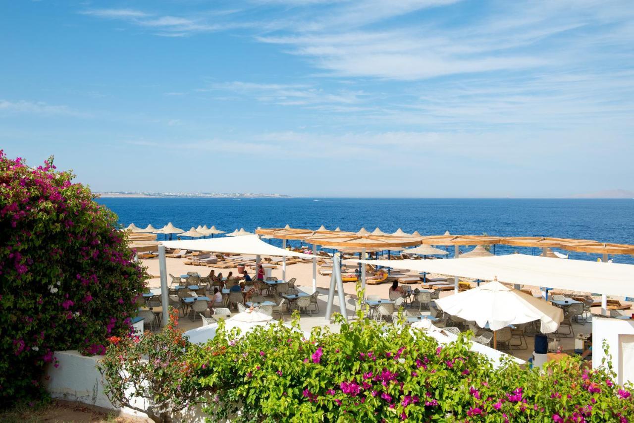 Amphoras Blu Sharm el-Sheikh Luaran gambar